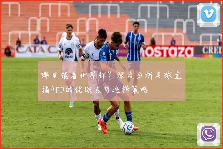 哪里能看世界杯？深度分析足球直播App的优缺点与选择策略